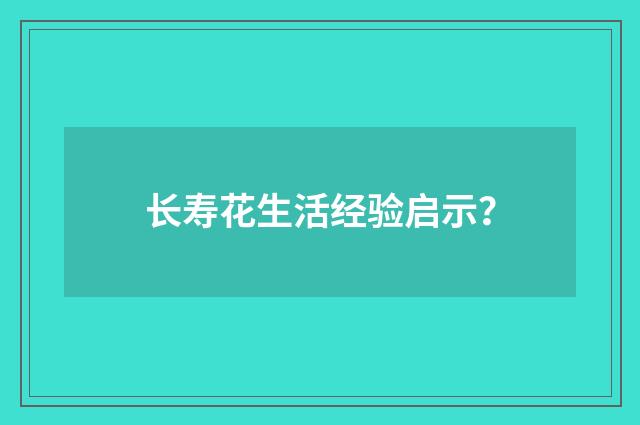 长寿花生活经验启示？