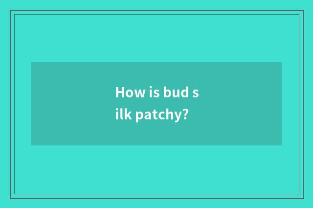 How is bud silk patchy?