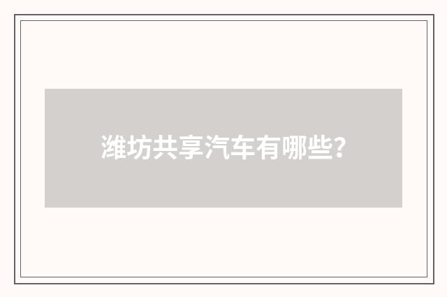 潍坊共享汽车有哪些？