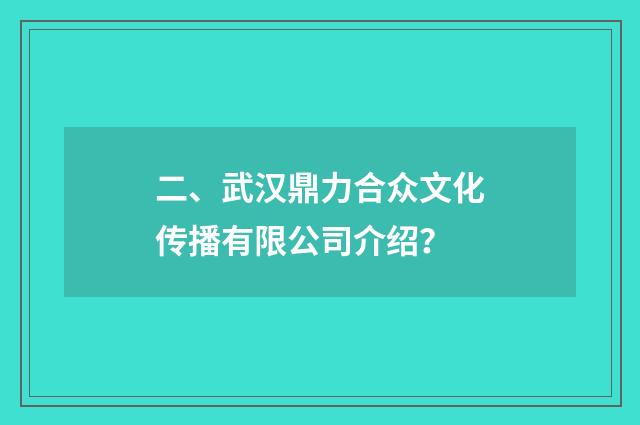 二、武汉鼎力合众文化传播有限公司介绍？