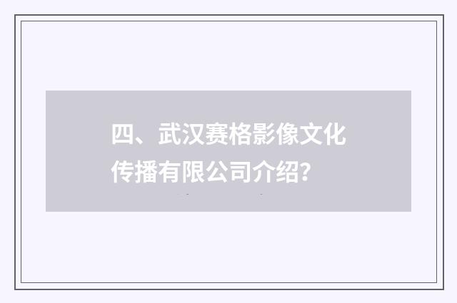 四、武汉赛格影像文化传播有限公司介绍？