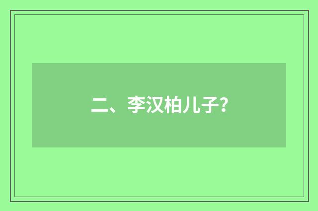 二、李汉柏儿子？