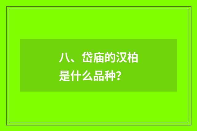 八、岱庙的汉柏是什么品种？