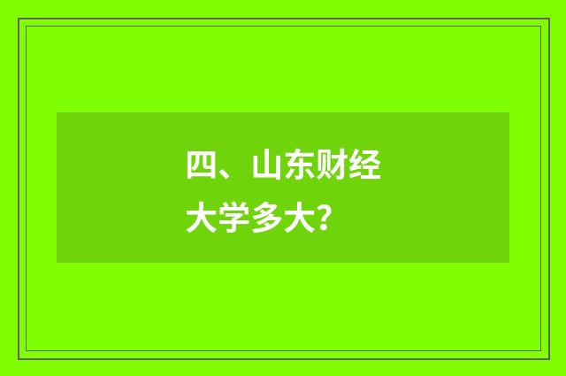 四、山东财经大学多大？