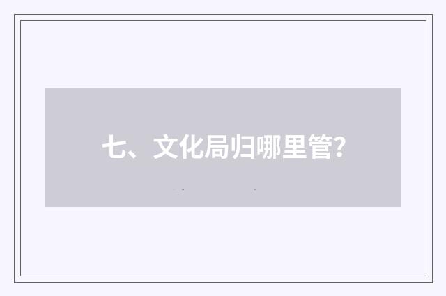 七、文化局归哪里管？
