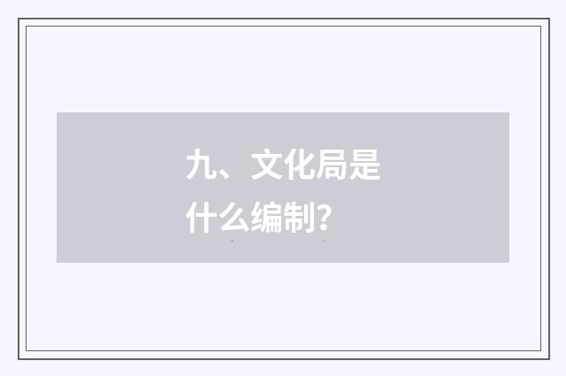 九、文化局是什么编制？