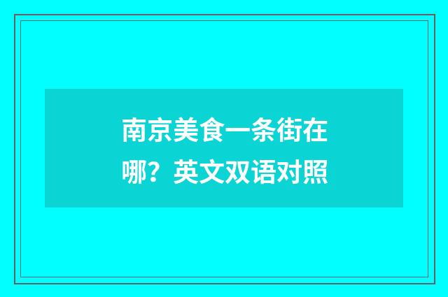 南京美食一条街在哪？英文双语对照