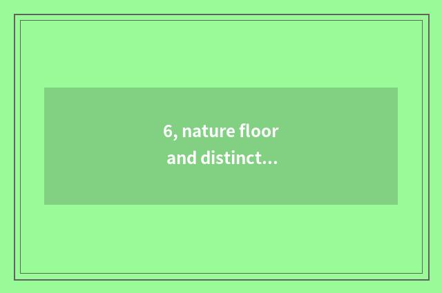 6, nature floor and distinction of entrance nature floor?