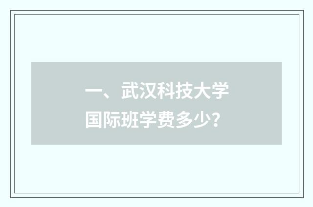 一、武汉科技大学国际班学费多少？