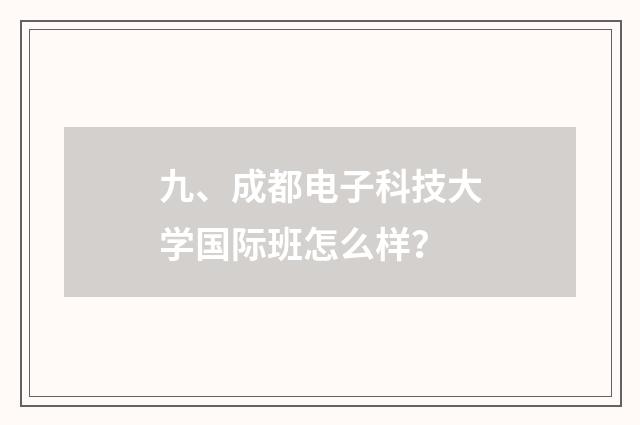 九、成都电子科技大学国际班怎么样？