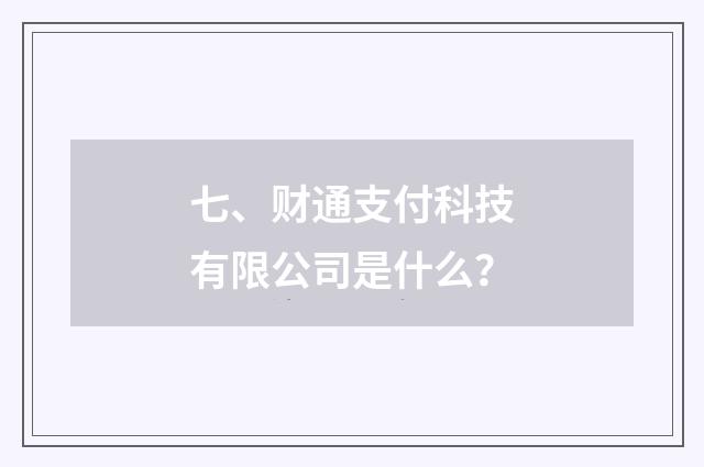 七、财通支付科技有限公司是什么？