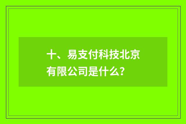 十、易支付科技北京有限公司是什么？
