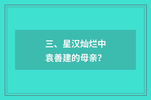 三、星汉灿烂中袁善建的母亲？