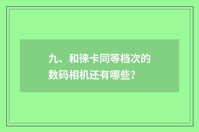 九、和徕卡同等档次的数码相机还有哪些？