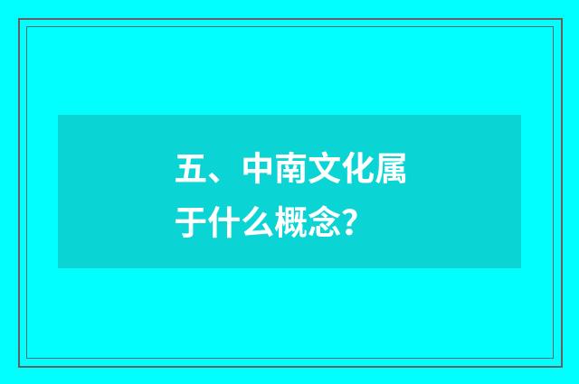 五、中南文化属于什么概念？