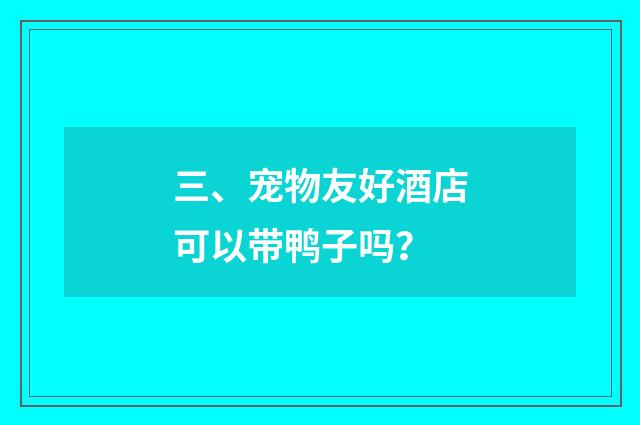 三、宠物友好酒店可以带鸭子吗？