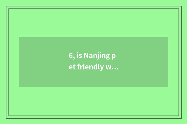 6, is Nanjing pet friendly what does bazaar have?