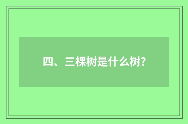 四、三棵树是什么树？