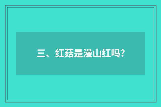 三、红菇是漫山红吗？
