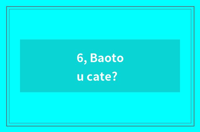 6, Baotou cate?