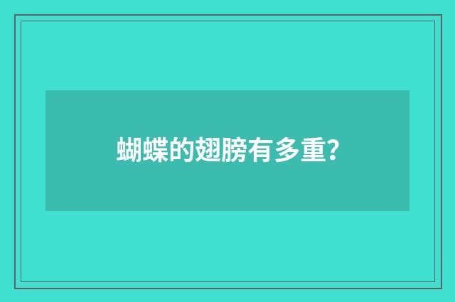 蝴蝶的翅膀有多重？
