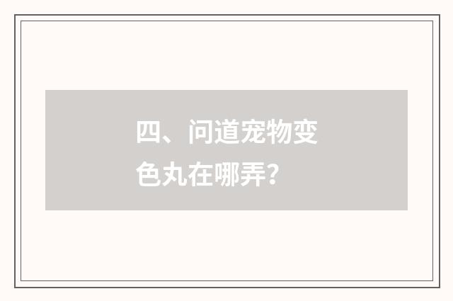 四、问道宠物变色丸在哪弄?