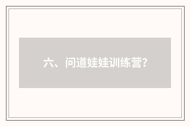 六、问道娃娃训练营？