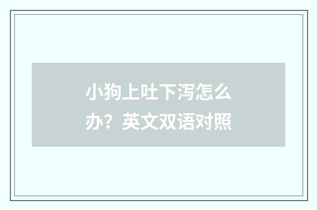 小狗上吐下泻怎么办？英文双语对照