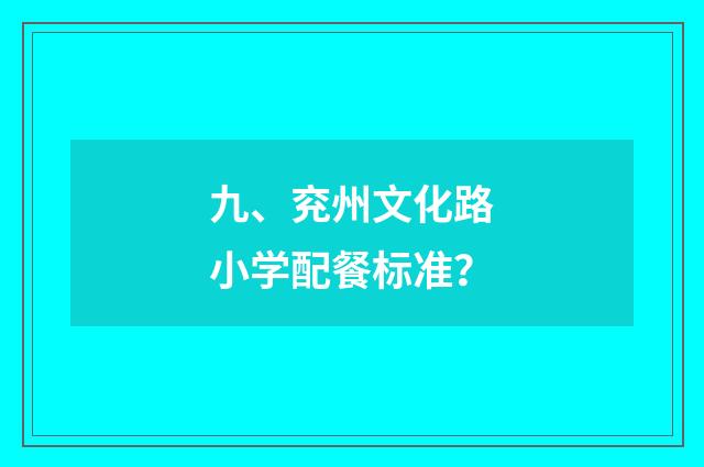 九、兖州文化路小学配餐标准？