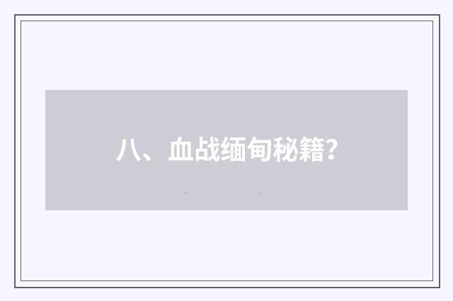 八、血战缅甸秘籍？