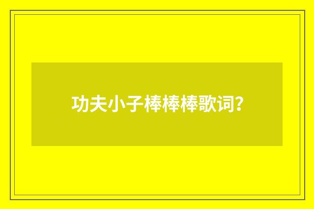 功夫小子棒棒棒歌词?