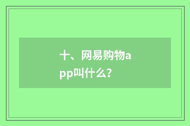 十、网易购物app叫什么？