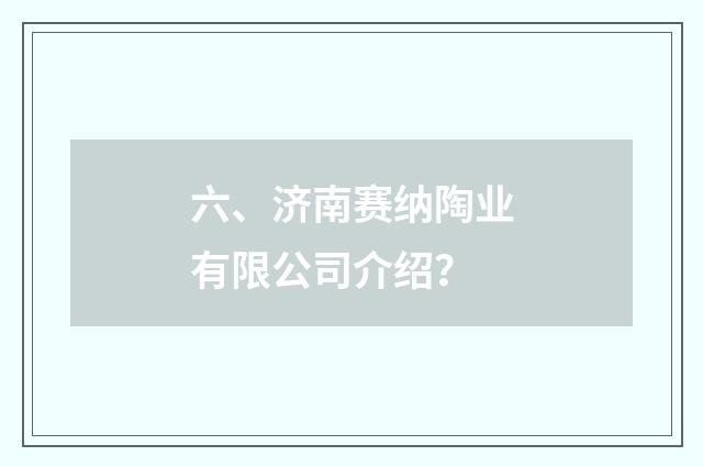 六、济南赛纳陶业有限公司介绍?