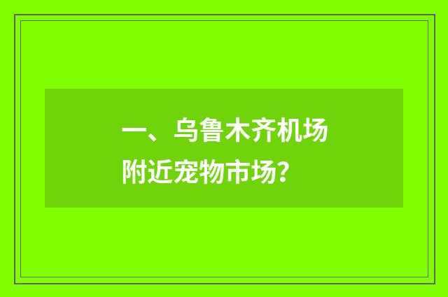 一、乌鲁木齐机场附近宠物市场？