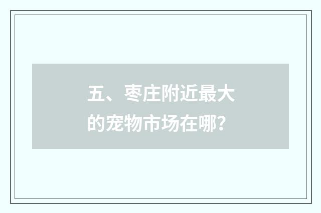 五、枣庄附近最大的宠物市场在哪？
