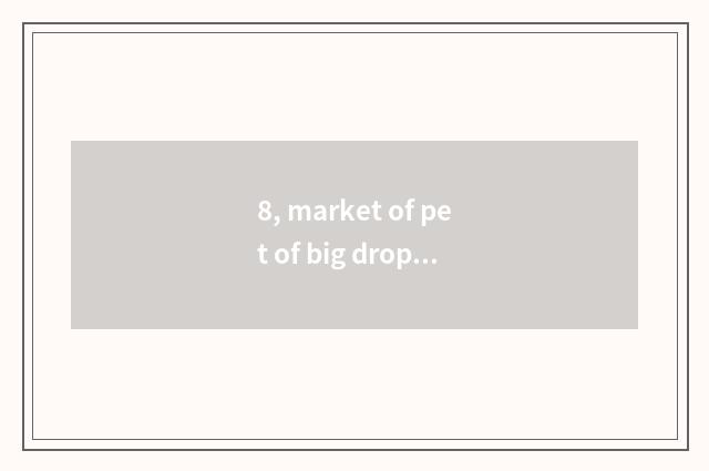 8, market of pet of big drop of Fosan of Guangzhou pet market?
