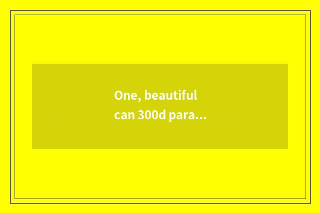 One, beautiful can 300d parameter?