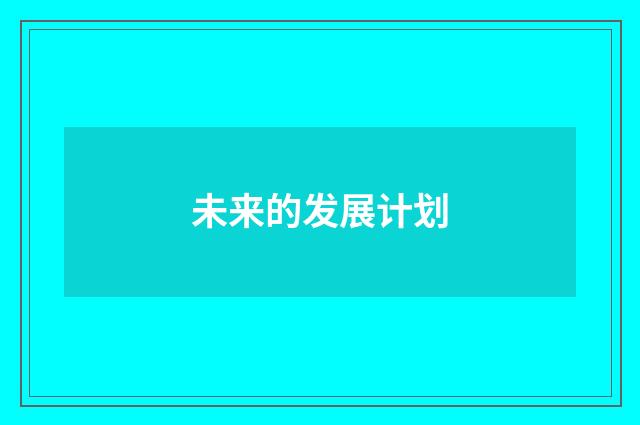 未来的发展计划