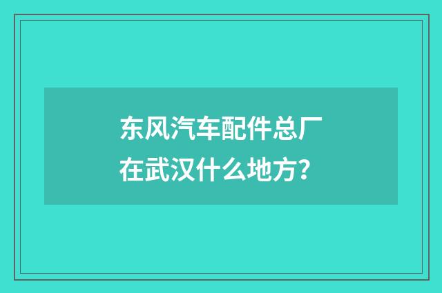 东风汽车配件总厂在武汉什么地方？