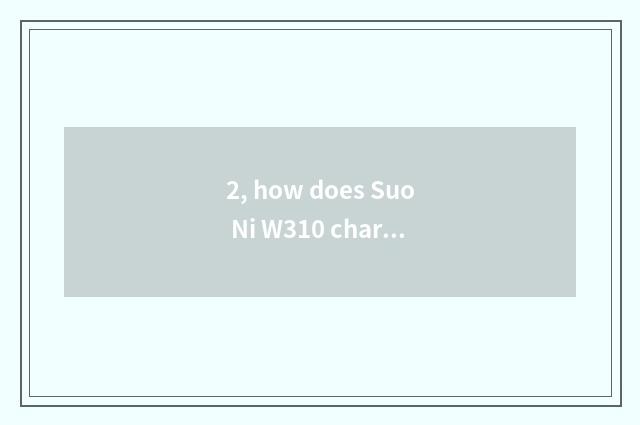 2, how does Suo Ni W310 charge?