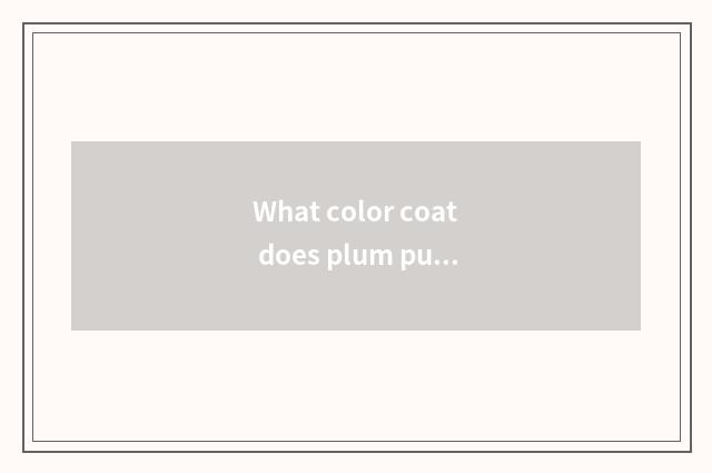 What color coat does plum purple coat take more fashionable?