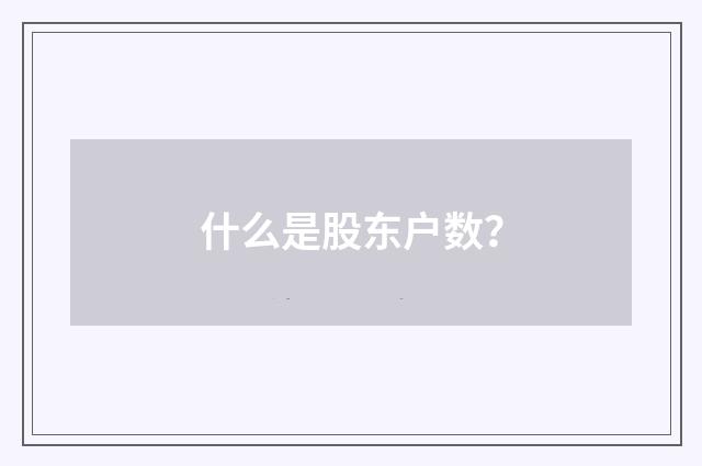 什么是股东户数？
