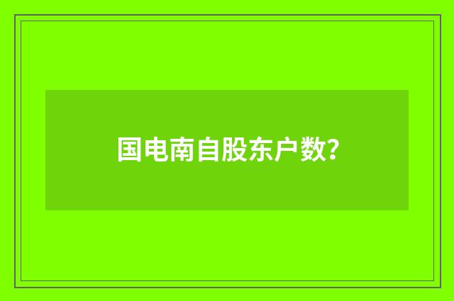 国电南自股东户数？