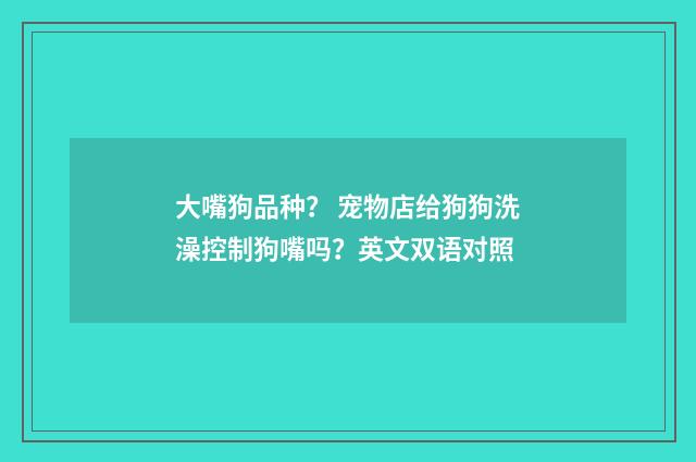 大嘴狗品种？ 宠物店给狗狗洗澡控制狗嘴吗？英文双语对照