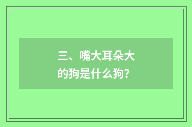 三、嘴大耳朵大的狗是什么狗？