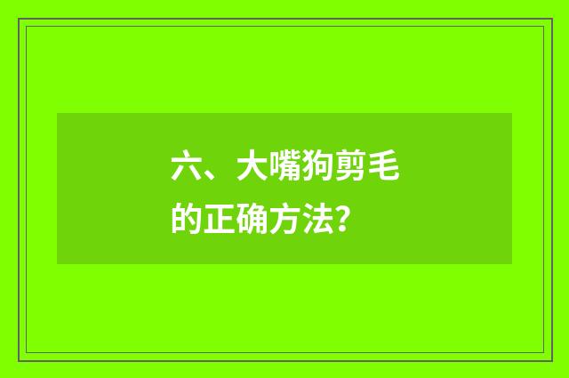 六、大嘴狗剪毛的正确方法？