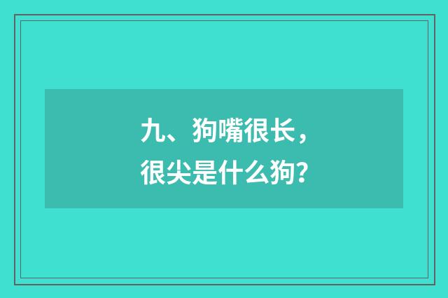 九、狗嘴很长，很尖是什么狗？