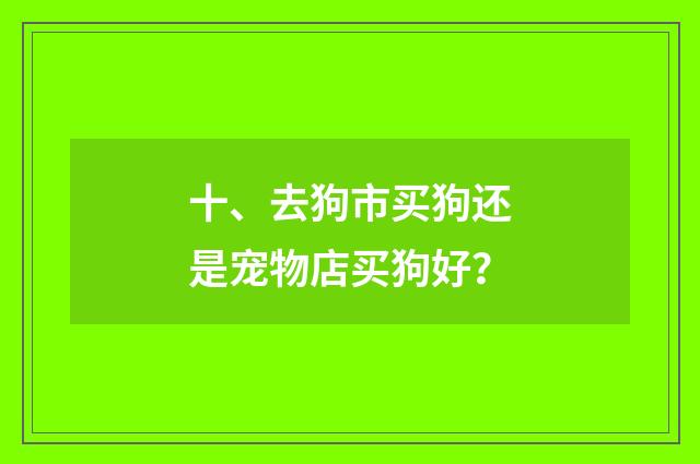 十、去狗市买狗还是宠物店买狗好？
