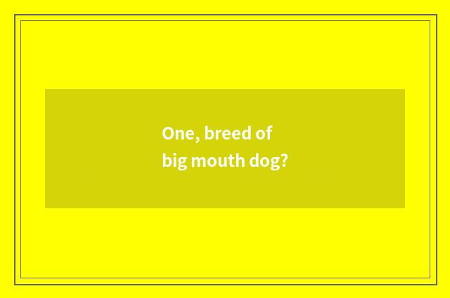 One, breed of big mouth dog?