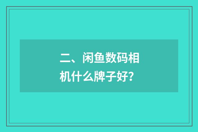 二、闲鱼数码相机什么牌子好？
